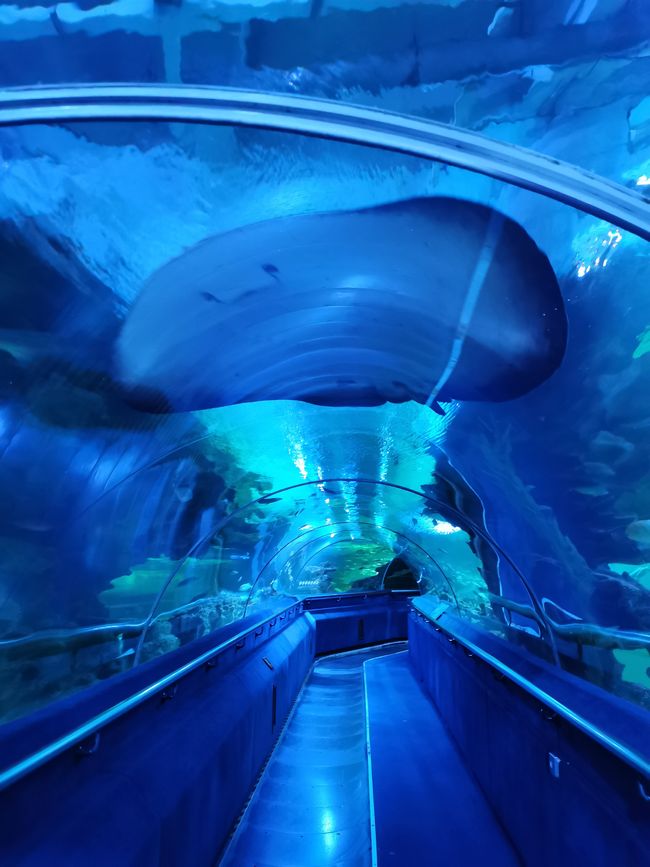 ... impressionnant monde des tunnels ...