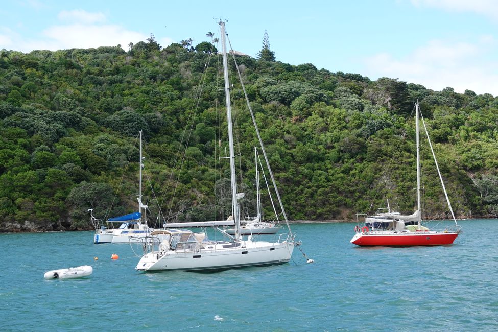 Ankunft auf Waiheke