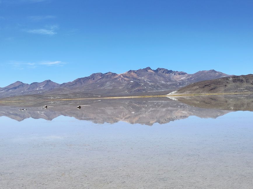 Arequipa: Beautiful Colca Canyon and the best almond peak in the world