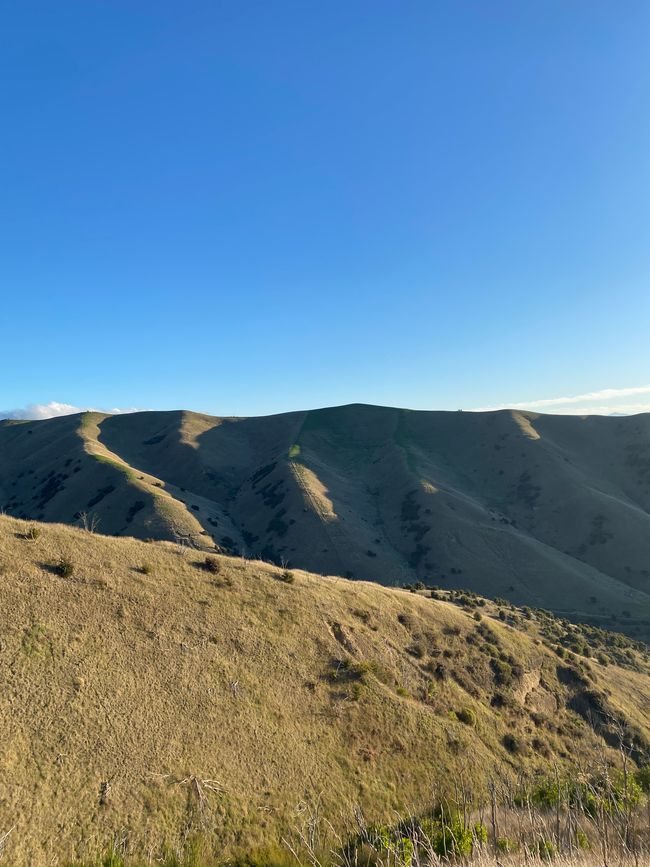 Nelson, Queen Charlotte drive, Picton, Kaikoura, Blenheim