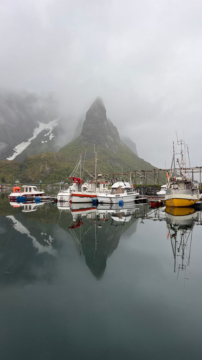 LOFOTEN - Che mondo meraviglioso?