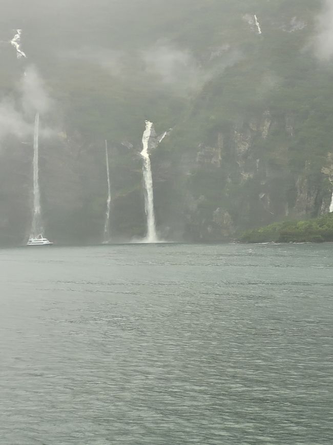 Tag 87 von 175: Kreuzfahrt rund um die Welt - Kreuzen im Milford Sound/Neuseeland