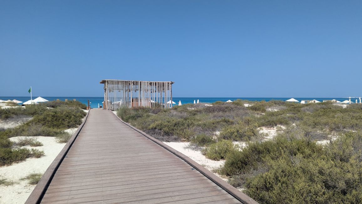 Saadiyyat Beach Club