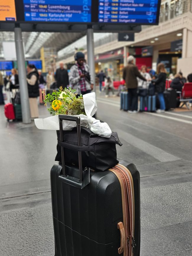 La mia valigia con bouquet in viaggio