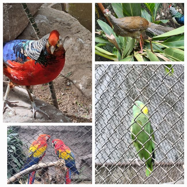 Tag drei: Zoo Aurora und Stadtteil Cayala