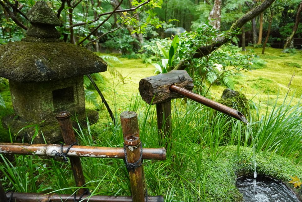 Gartenbesichtigung im regnerischen Kyoto