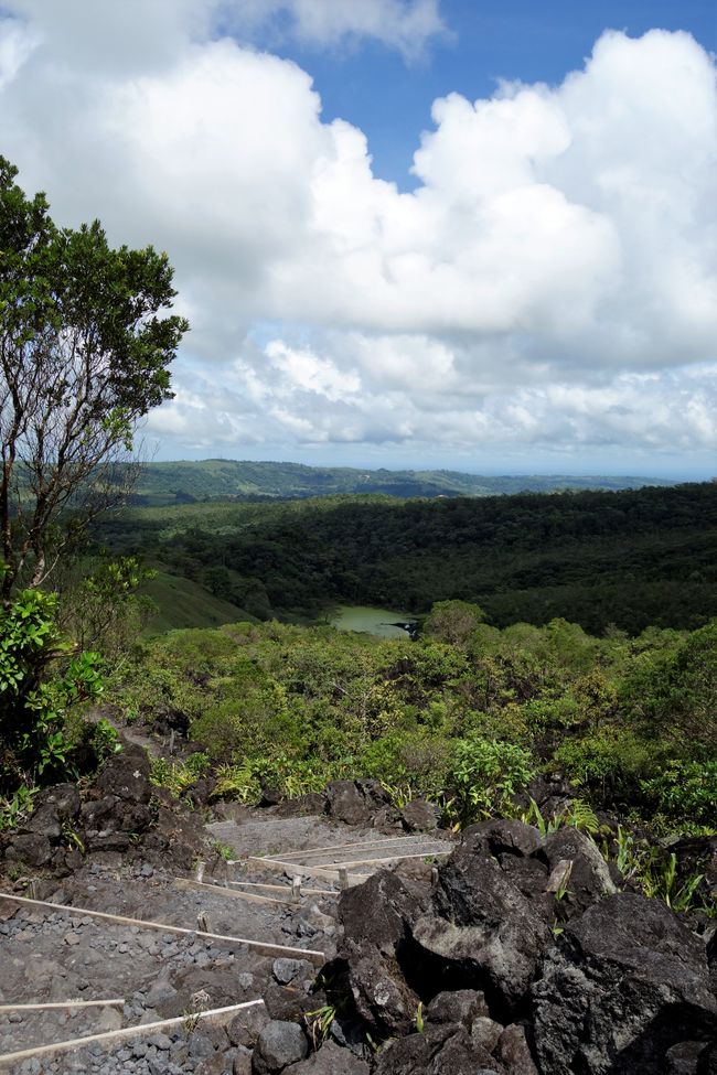 Die Entdeckung der Langsamkeit