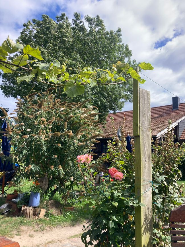 Karlshagen - immer mehr, immer mehr, immer mehr…