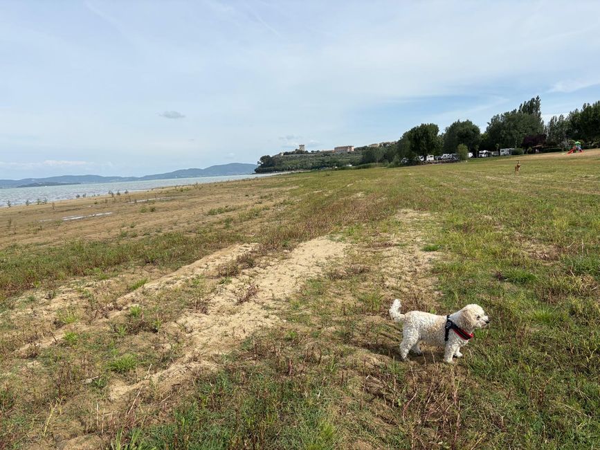 Samstag: Reisetag Sonntag: ein regnerischer Tag am Trasimenischen See