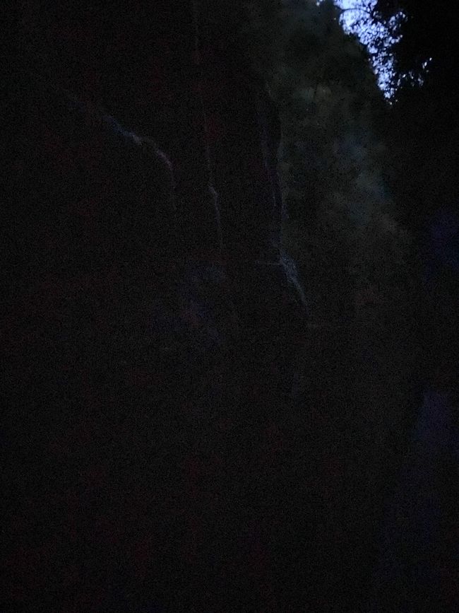 McLarren Falls - Glowworm Tour 