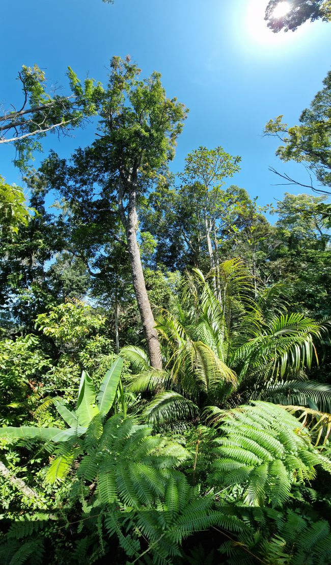 Zwischen Himmel und Erde - Georgetown/Penang