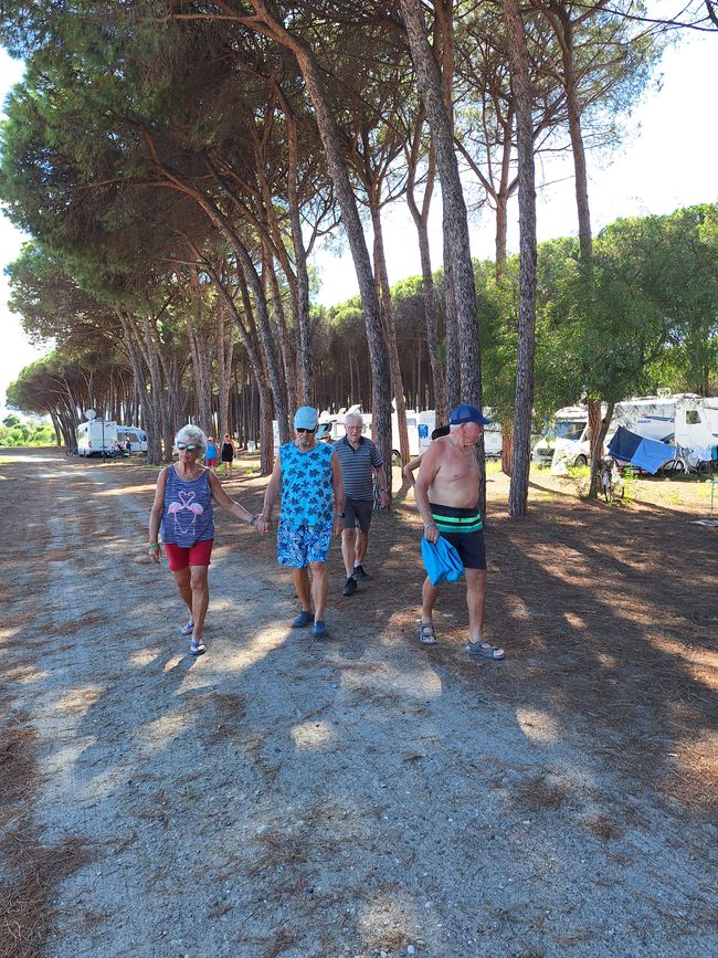 Nachmittag Strand Spaziergang 