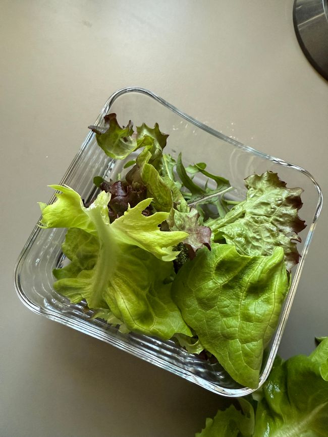 Mein eigener Salat 🥗 / my own salad 🥗