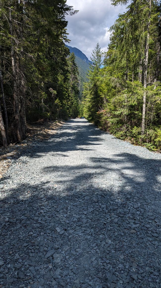 Upper Myra Falls Trail