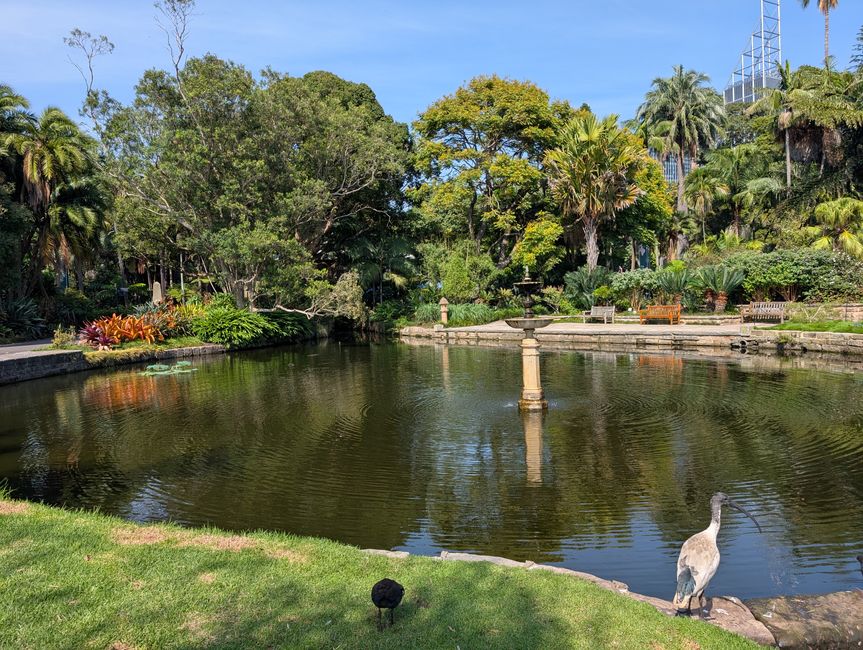 On the way back home