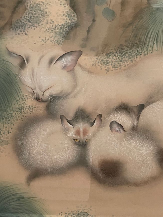 Katzen