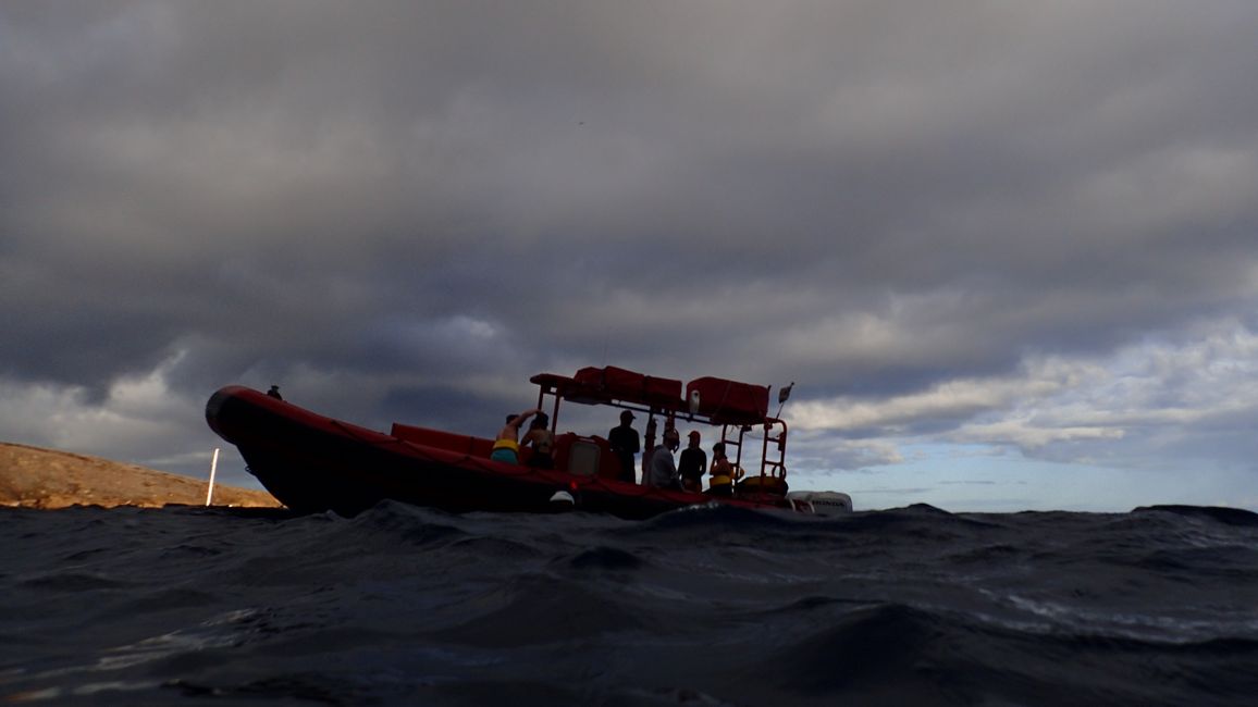 … y sumergirse en el agua