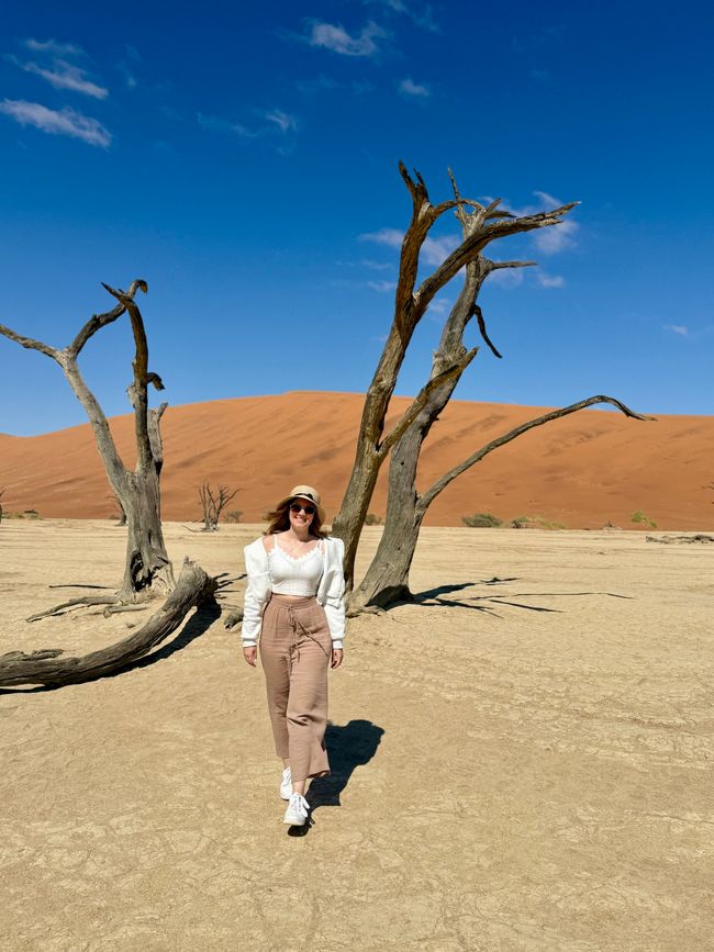 Namibia 2k25 🦓🏜️🐘