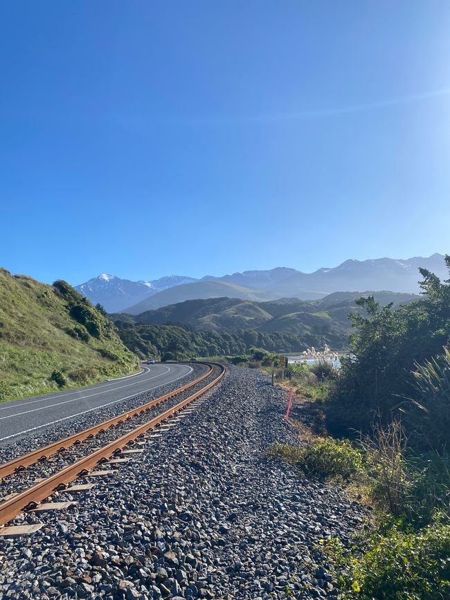 Nelson, Queen Charlotte drive, Picton, Kaikoura, Blenheim