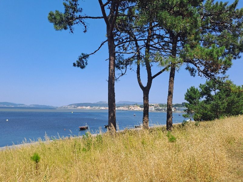 4. Etapa: Vila do Castello -