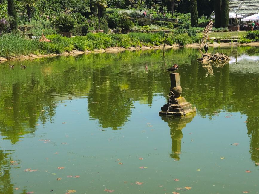 Ludwigsburg ● Blühender Barock Garten