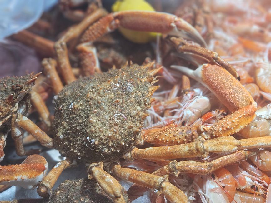 Une sorte de crabe nébuleux