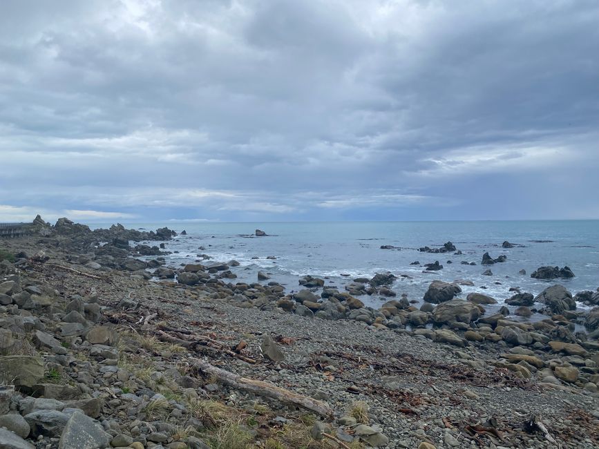 Nelson, Queen Charlotte drive, Picton, Kaikoura, Blenheim