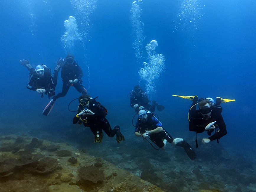 Eine Woche Tauchsafari mit der MV Bavaria 