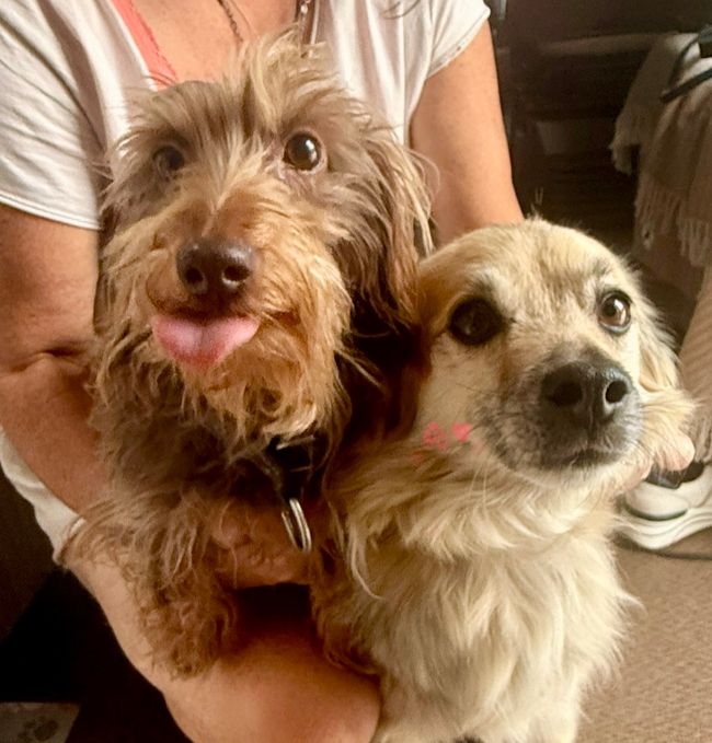 kleine-perlen-spaniens