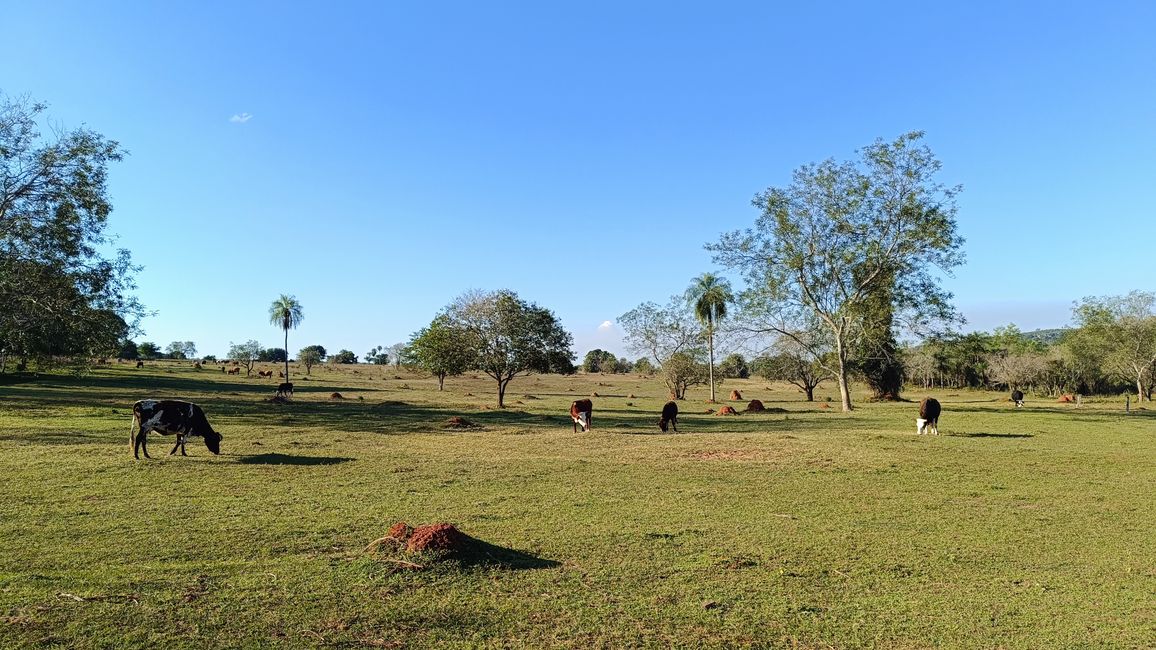 Paraguay_Caacupe_Aventura_Ranch (Juli 2025)