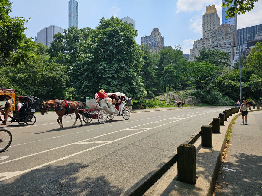 Central Park 'Walk'