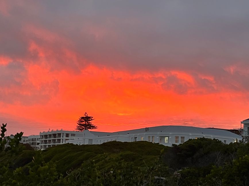 Hermanus