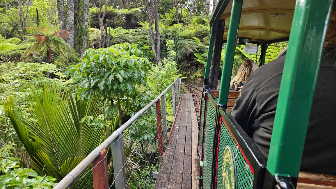 Hahei - The 309 Road - Coromandel