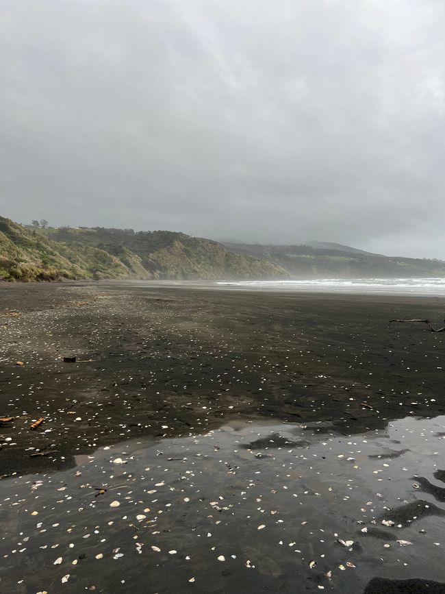 Ngarunui Beach 