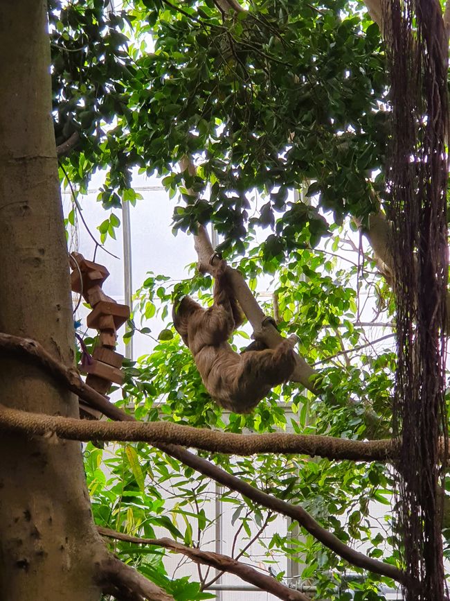 Pittsburgh National Aviary