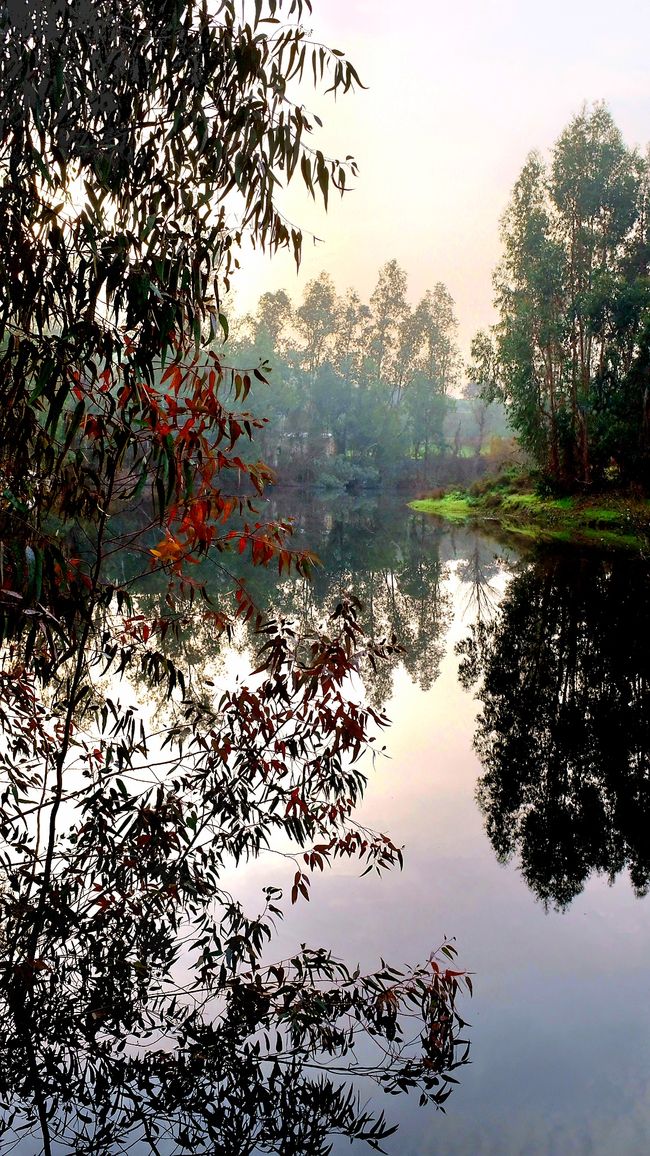 Im Alentejo