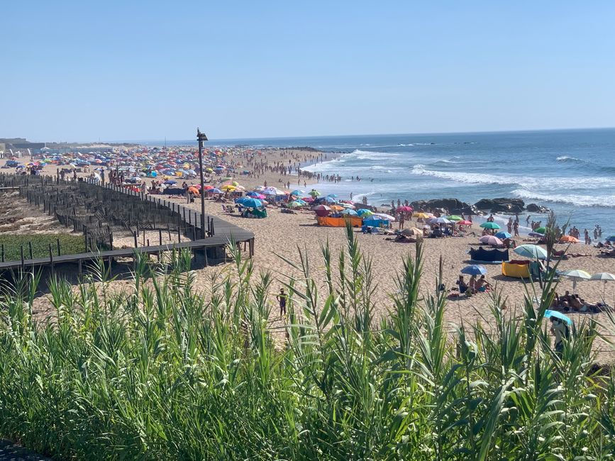 Vila Nova de Gaia