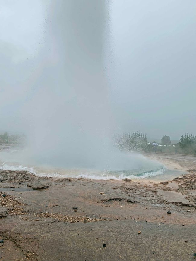 Reykjavík, August 31, 2024