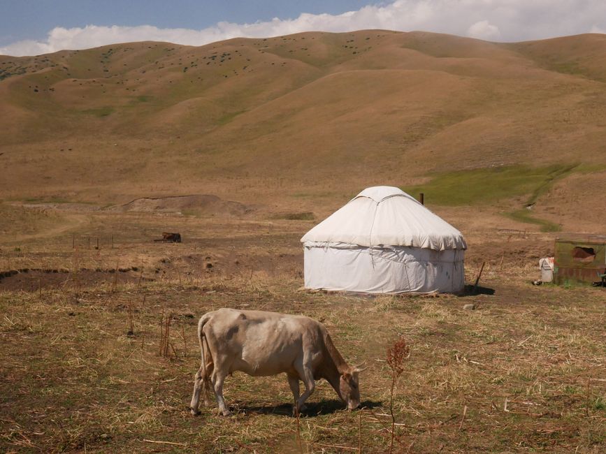 Deux jours dans la steppe kazakhe