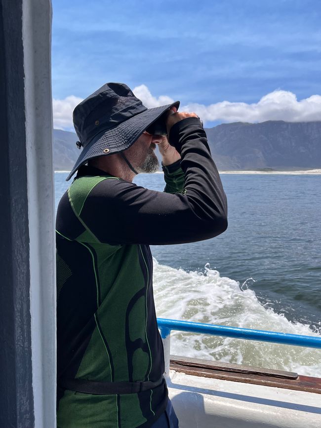 Hermanus