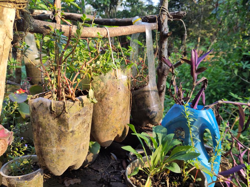 Leuchtende Käfer, grüne Orangen und andere Besonderheiten: Meine letzten Tage in der peruanischen Selva