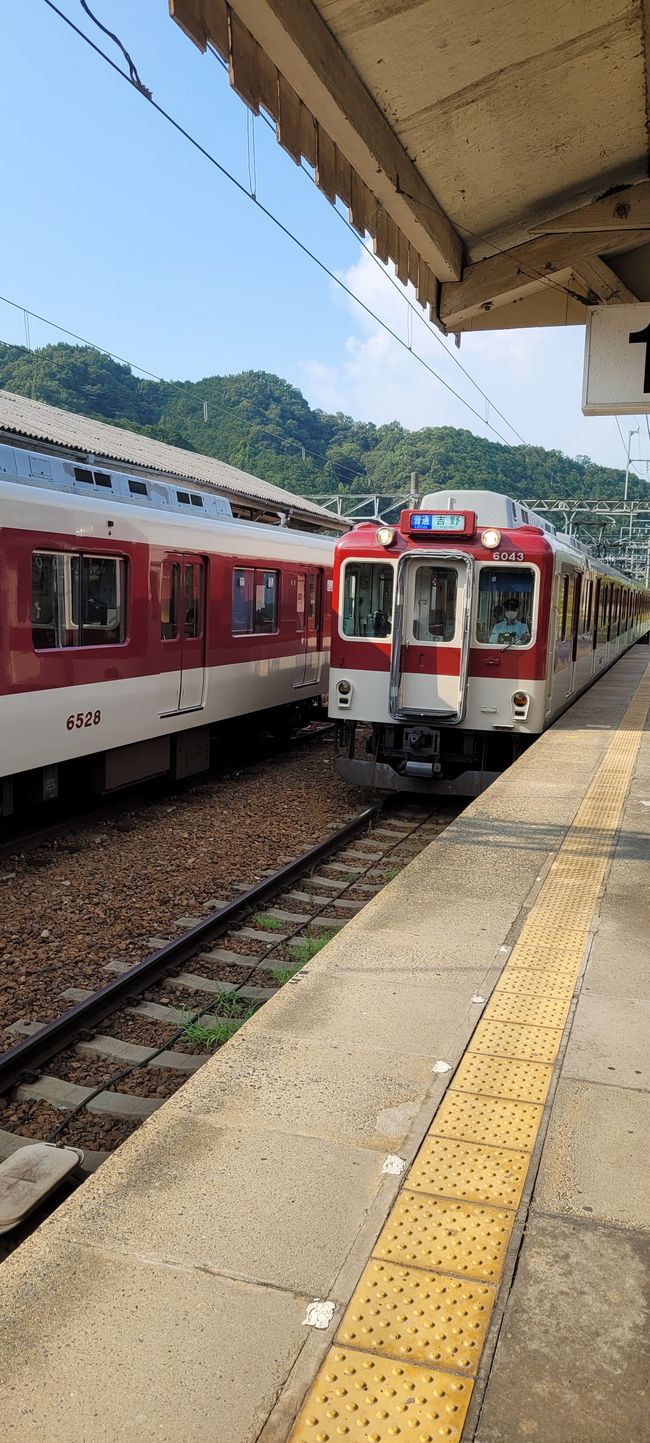 Tag 7. Shimoichi und Nara