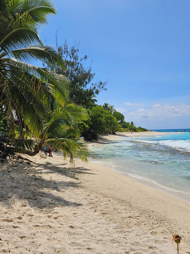 53. Etiqueta Isla Misteriosa, Vanuatu 16.01.2026
