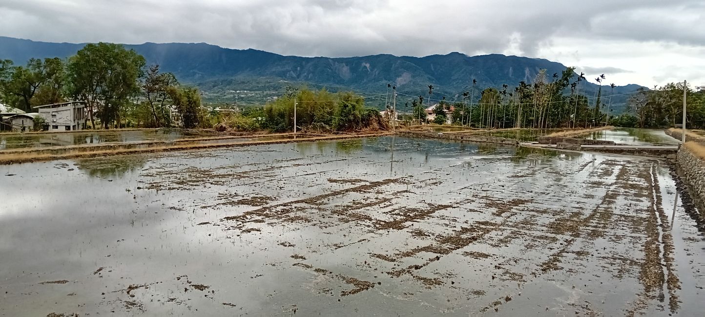 Luye y Taitung