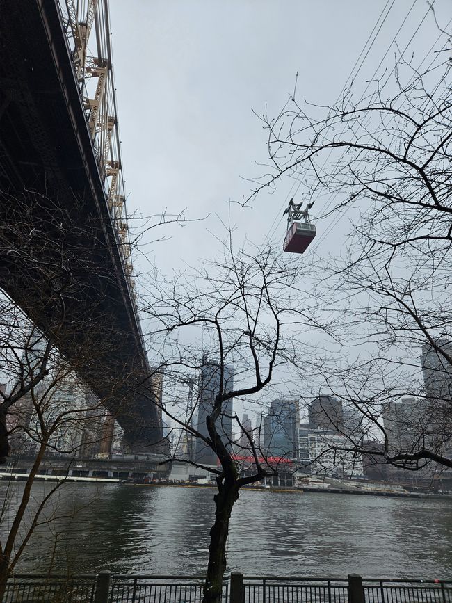Gondel nach Roosevelt Island 