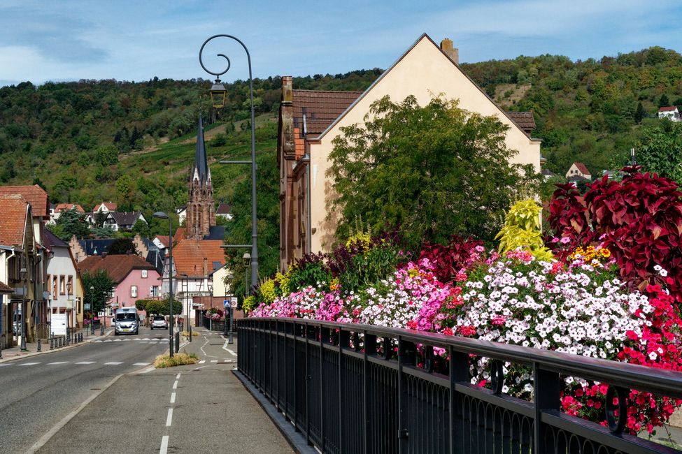Reise in den Herbst