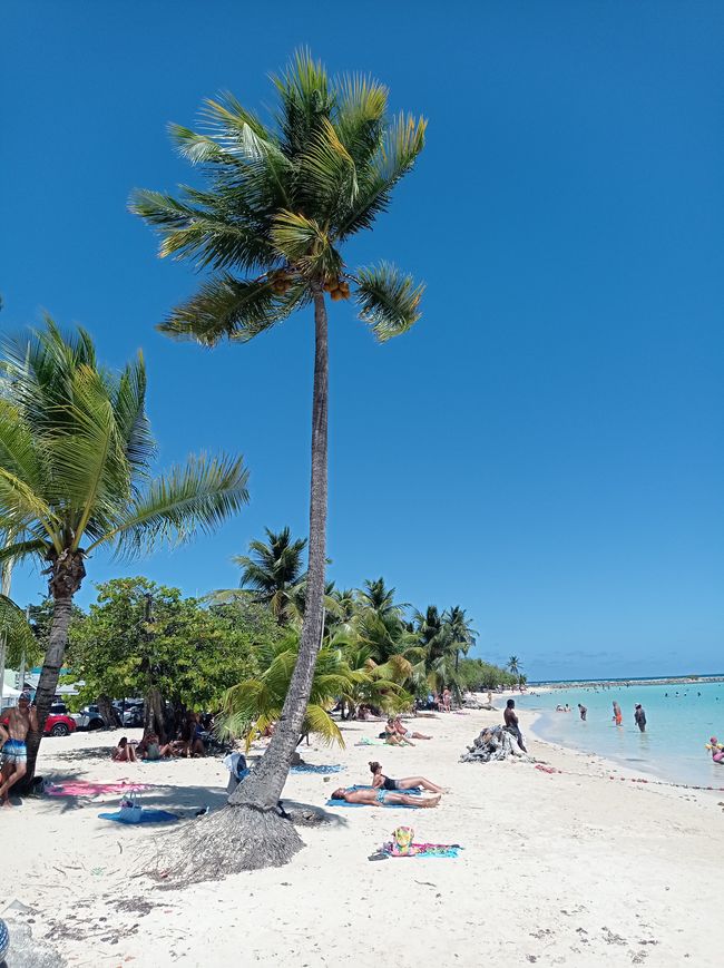 Ausflug nach Grande Terre, die östliche, flache Seite von Guadeloupe