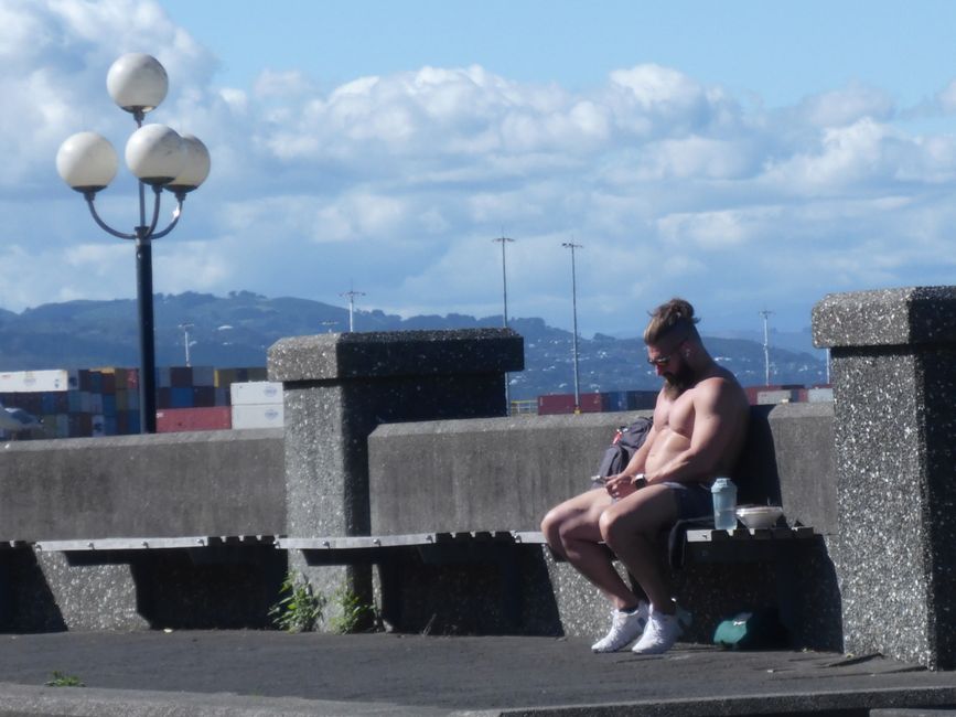 2025-03-25 NZ, l'Isola del Nord, Wellington