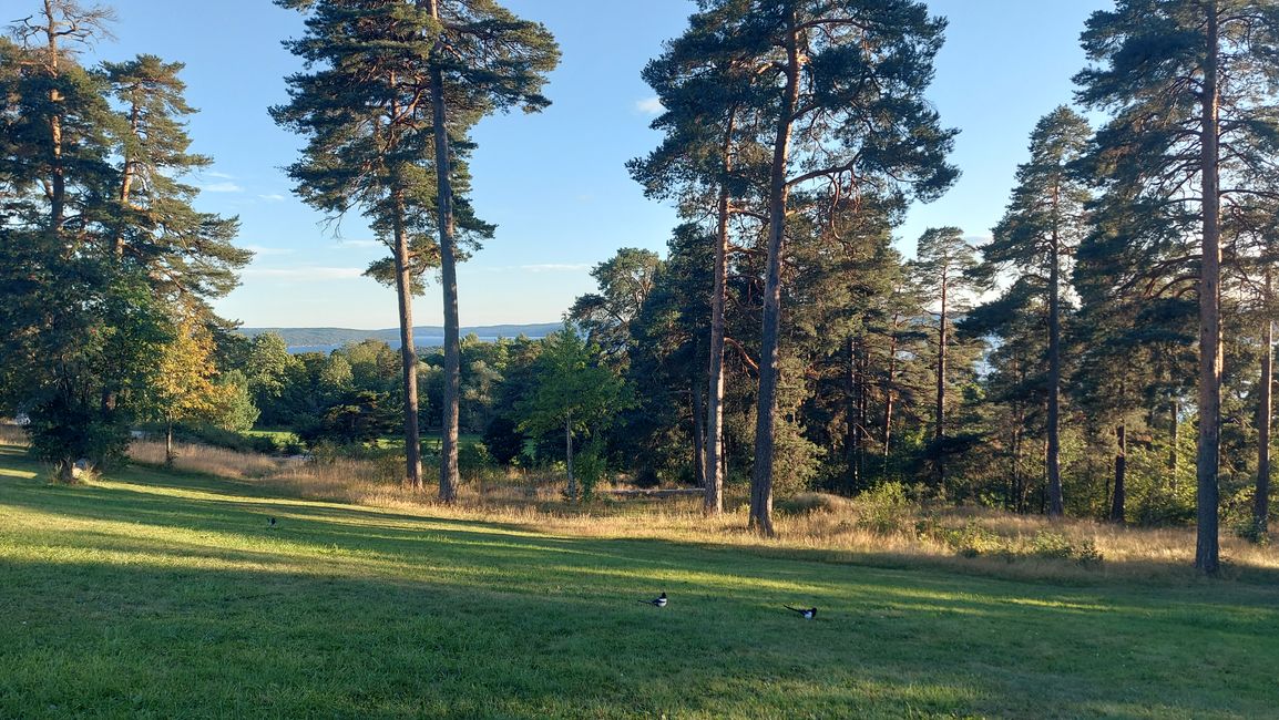 Oslo City