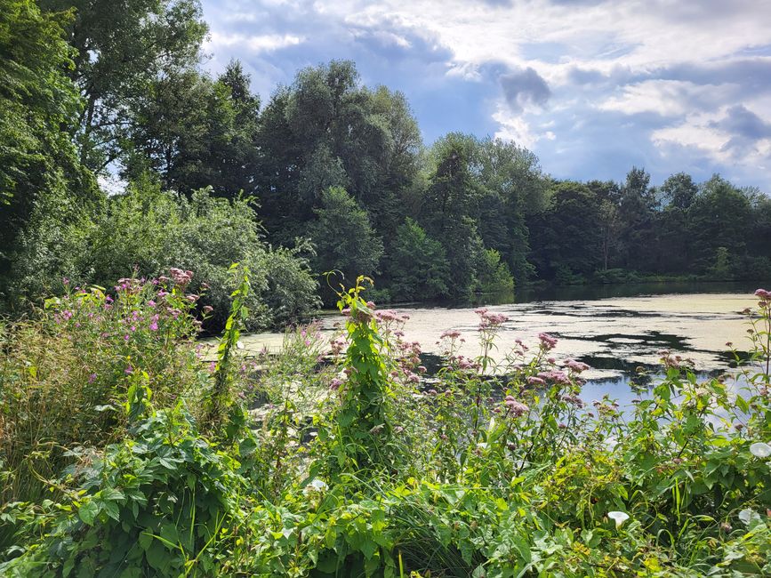 Fischteiche vom Haus Marck